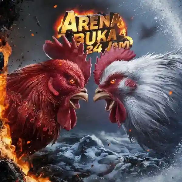 Apa Itu Sabung Ayam Online dan Bagaimana Cara Mainnya?